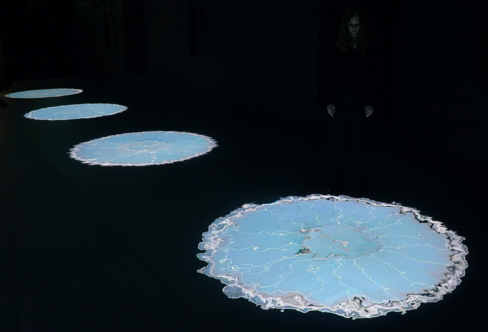 2. Cooking Sections, Salmon: Traces of Escapees, 2021. Turner Prize 2021 Exhibition, Herbert Art Gallery, UK.