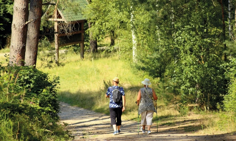 Sommarpromenad till Lill-Jansskogen