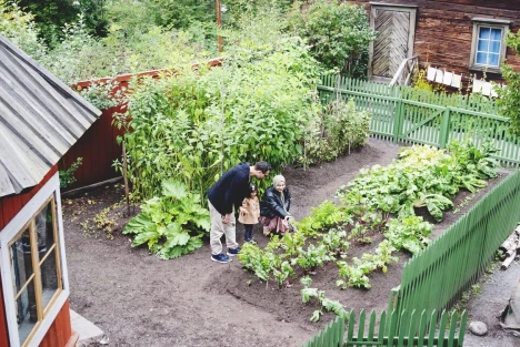 Familj i boktryckarbostadens trädgård