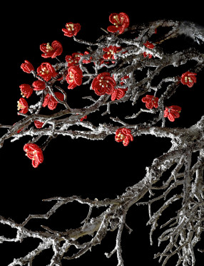 Svartvit träkvist med röda pärlblommor