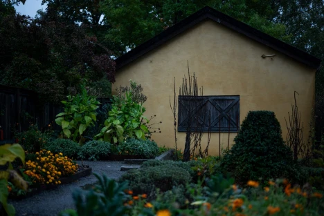 Vasamuseets trädgård.