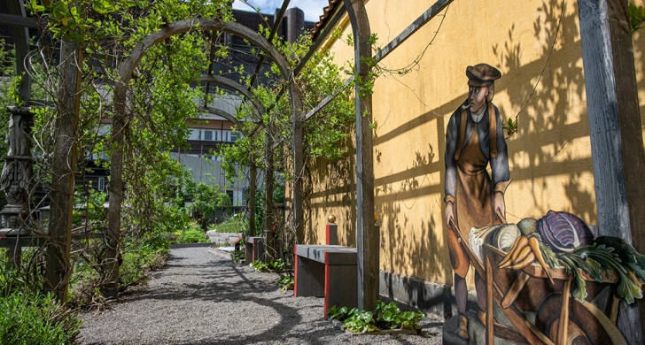 Lövgång i Vasamuseets trädgård.