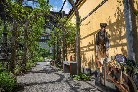 Lövgång i Vasamuseets trädgård.