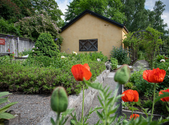 Vasamuseets trädgård.