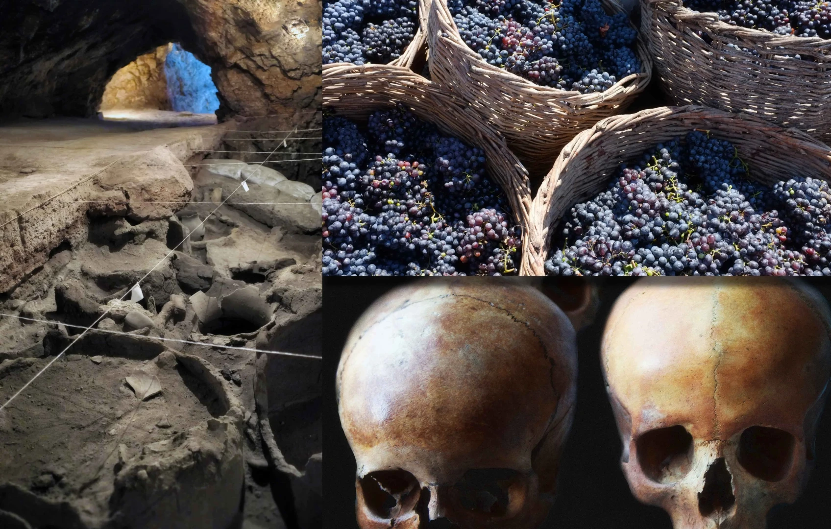 Skallar, vindruvor, grotta