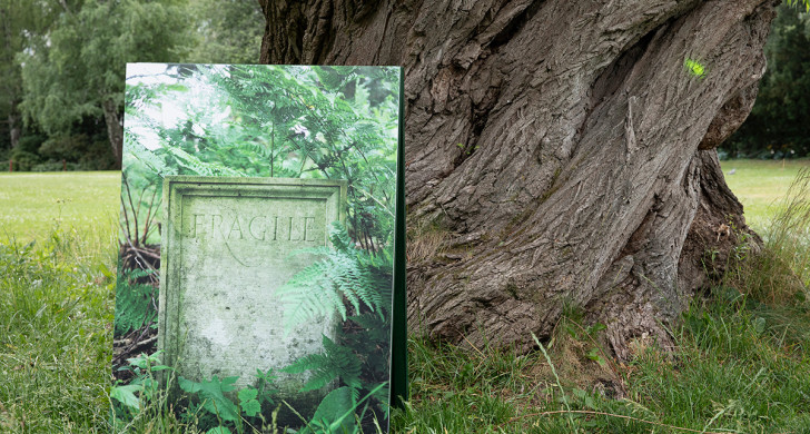 Ett fotografi står i en park, framför ett träd. Fotografiet föreställer en sten med texten Fragile.