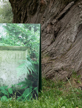 Ett fotografi står i en park, framför ett träd. Fotografiet föreställer en sten med texten Fragile.