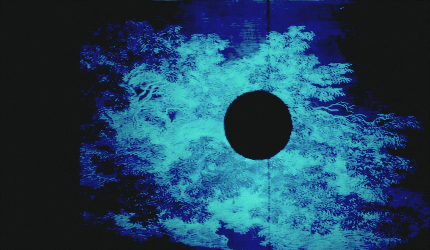 Lina Selander, The Sun to me is Dark (2024), i samarbete med Oscar Mangione