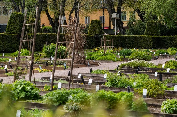 https://www.welma.se/wp-content/uploads/2022/06/linnetradgarden.jpg