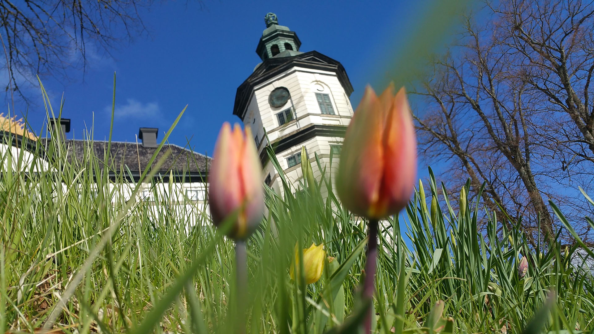 https://www.welma.se/wp-content/uploads/2023/03/pask-skokloster.jpg
