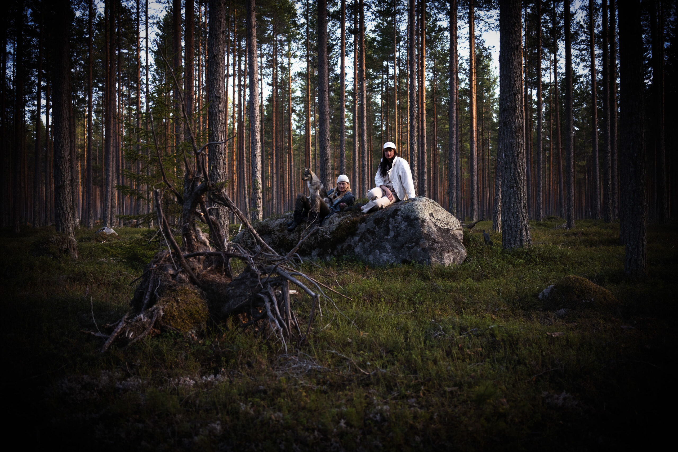 https://www.welma.se/wp-content/uploads/2023/08/DSC01391-scaled-1.jpg