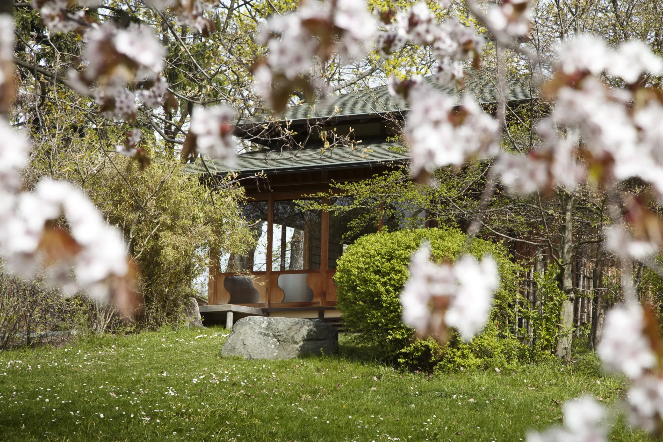 https://www.welma.se/wp-content/uploads/2024/05/tehuset-visning-blommor-scaled.webp