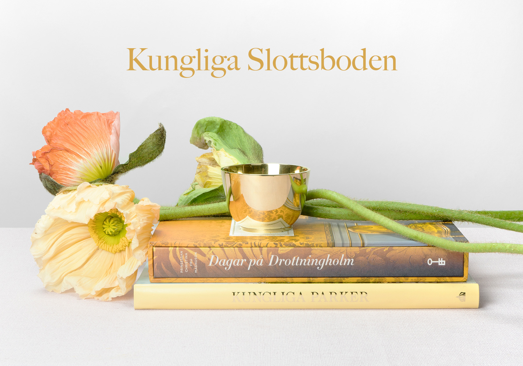 https://www.welma.se/wp-content/uploads/2024/06/slottsboden.jpeg