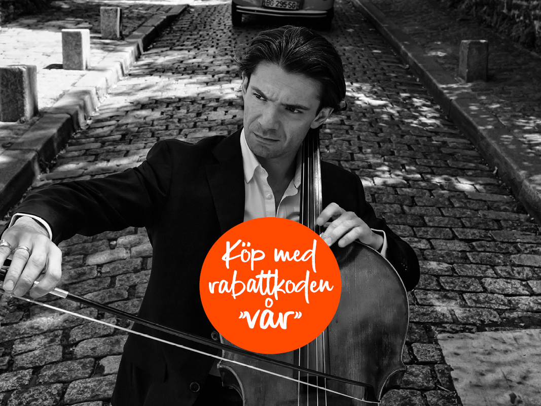 https://www.welma.se/wp-content/uploads/2025/01/puffbild-dvorak.png