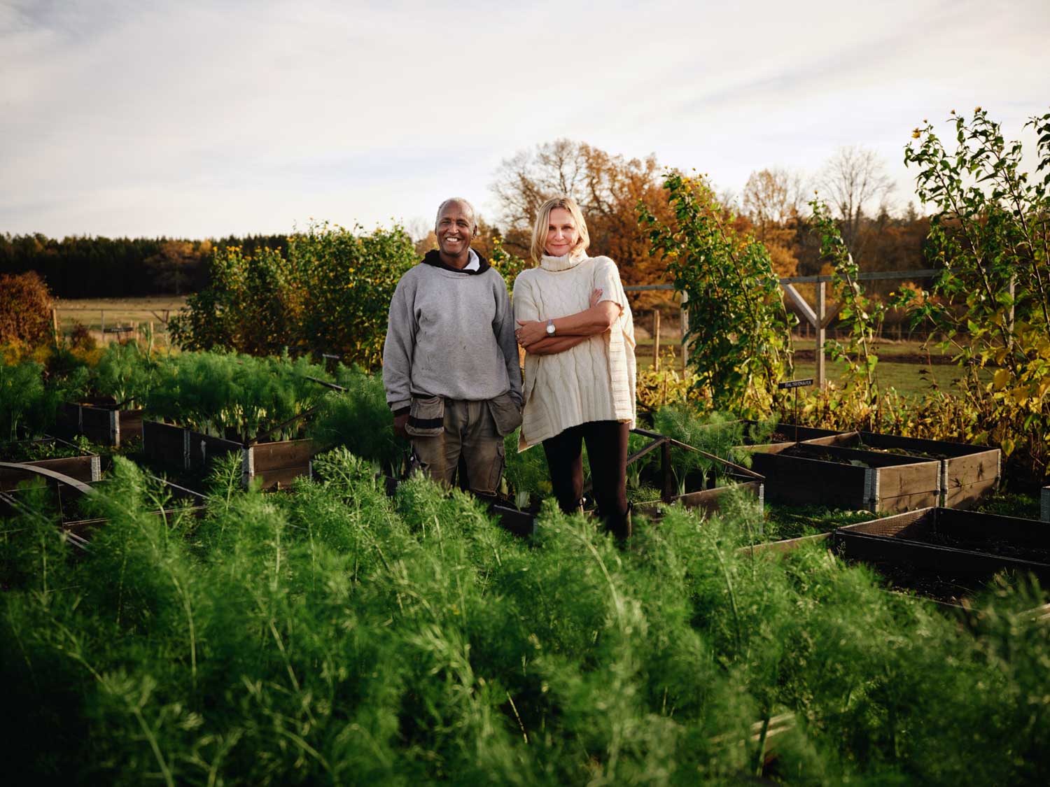 https://www.welma.se/wp-content/uploads/2025/09/Kokstradgarden.jpg