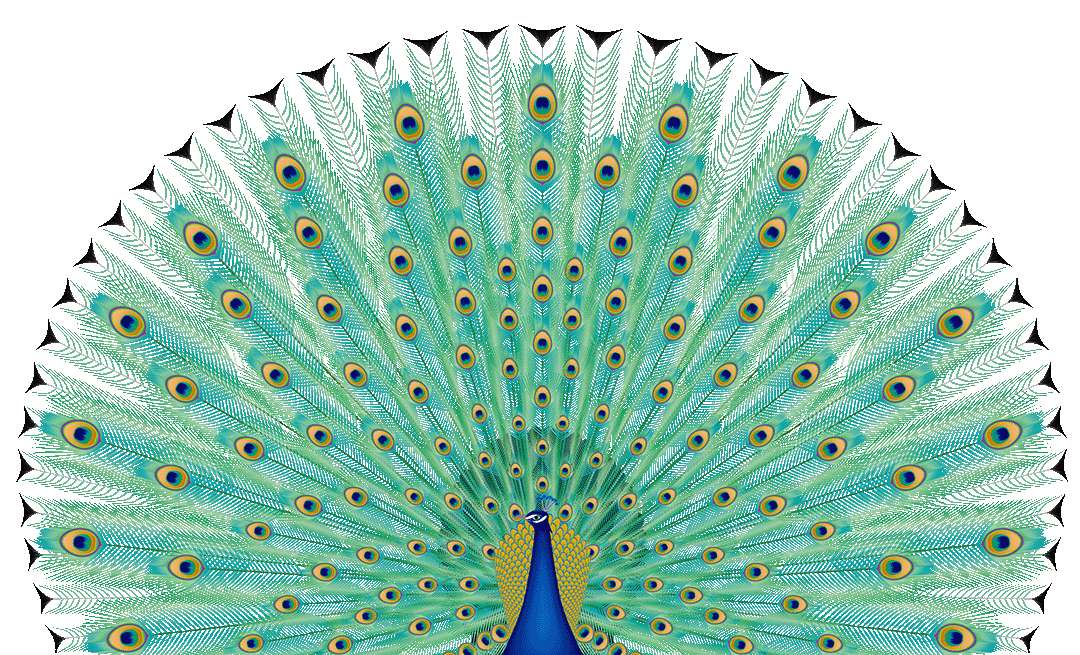 https://www.welma.se/wp-content/uploads/2025/10/pafageln.png