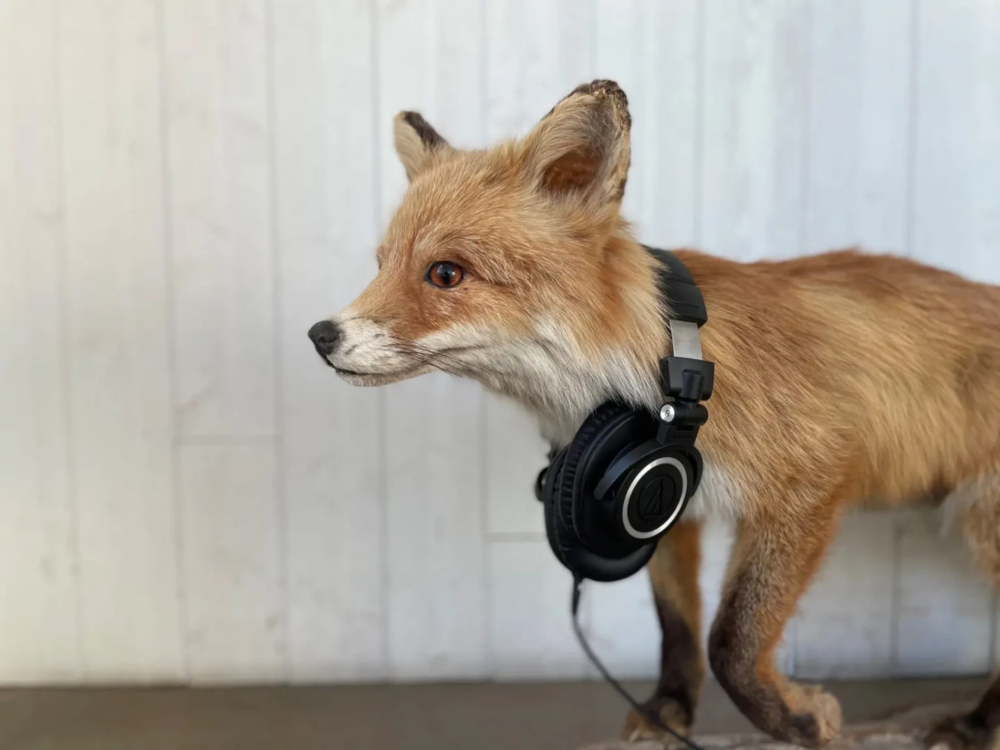 https://www.welma.se/wp-content/uploads/2026/05/rav4webb-1536x1152-biotopia.webp