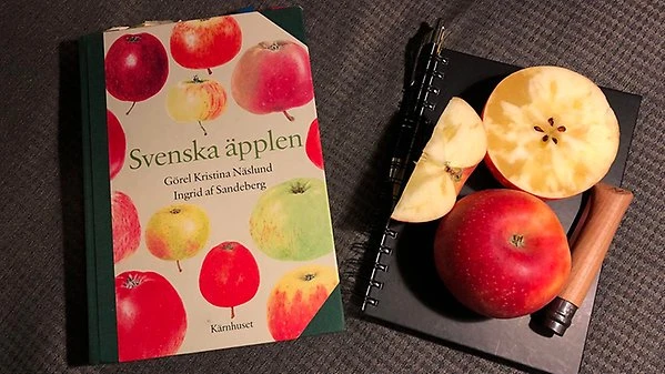 https://www.welma.se/wp-content/uploads/2026/06/btevent_sortskola_16-9-1200.webp