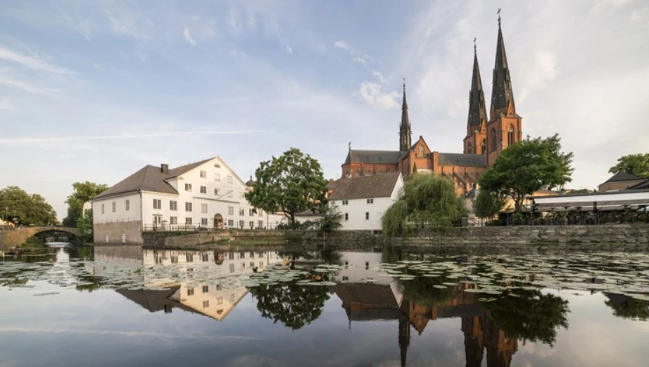 https://www.welma.se/wp-content/uploads/2026/06/stadvandring-.webp
