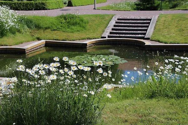 https://www.welma.se/wp-content/uploads/2026/06/trdgvandr_sjodamm_jk.webp
